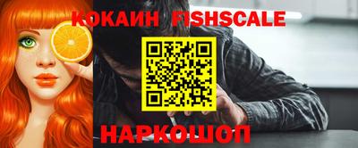 стаф Гай