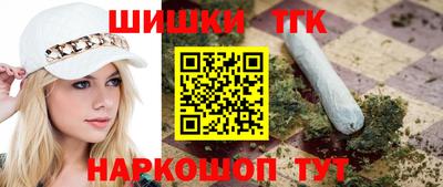 стаф Гай