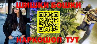 стаф Гай