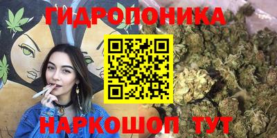 эйфоретик Гатчина