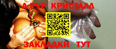 стаф Гай