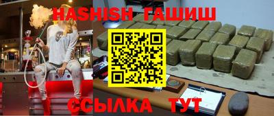 стаф Гай