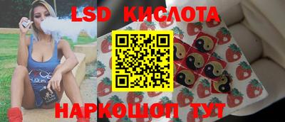 стаф Гай